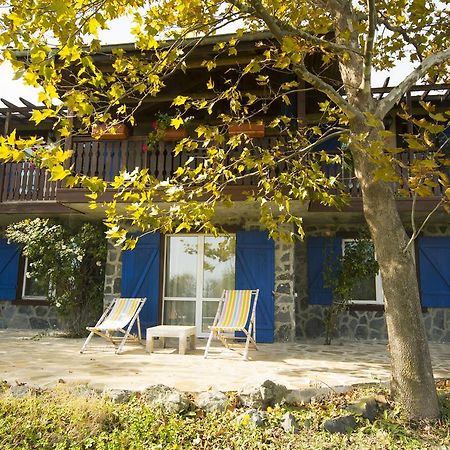 Villa ArtSeaHouse Lozenets Exterior foto